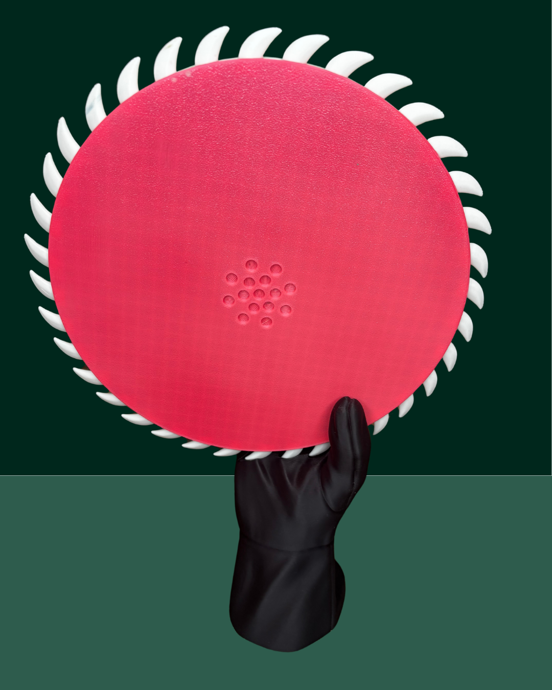 Fanged Frisbee Harry Potter